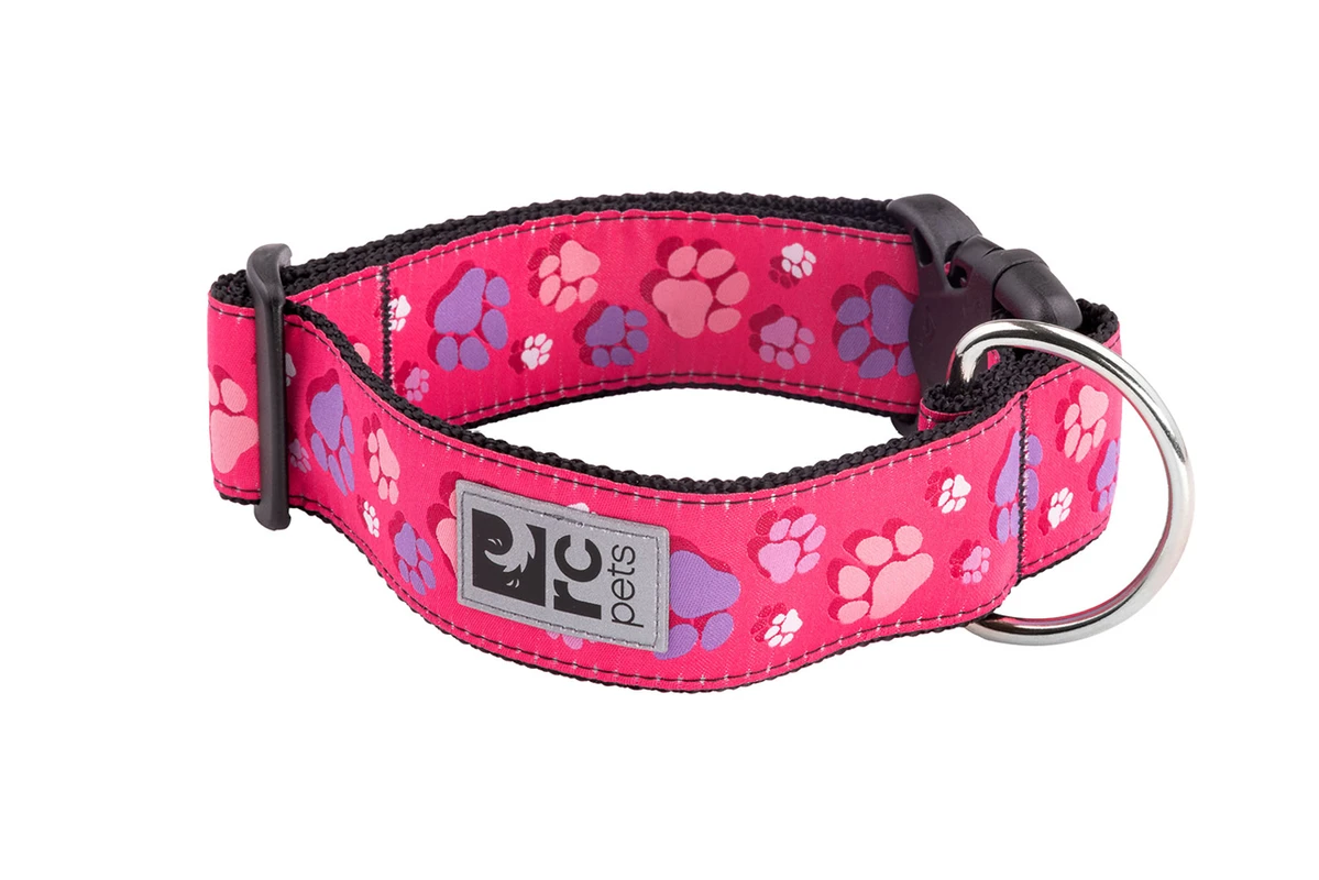 Wide Clip Collar - Fresh Tracks Pink