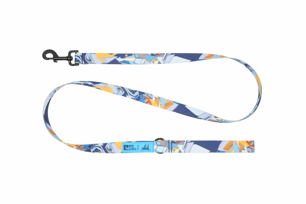 Artist Series Leash - Daim