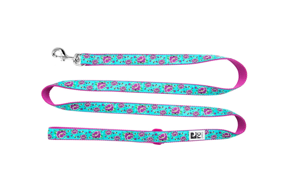 Dog Leash - All The Buzz