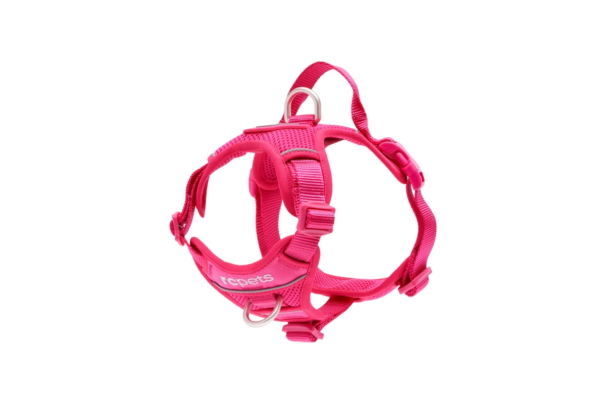 Momentum Control Harness-Azalea
