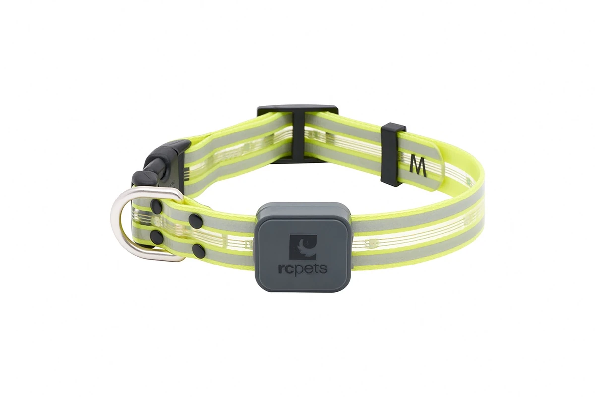 Nova LED Light Collar - Tennis