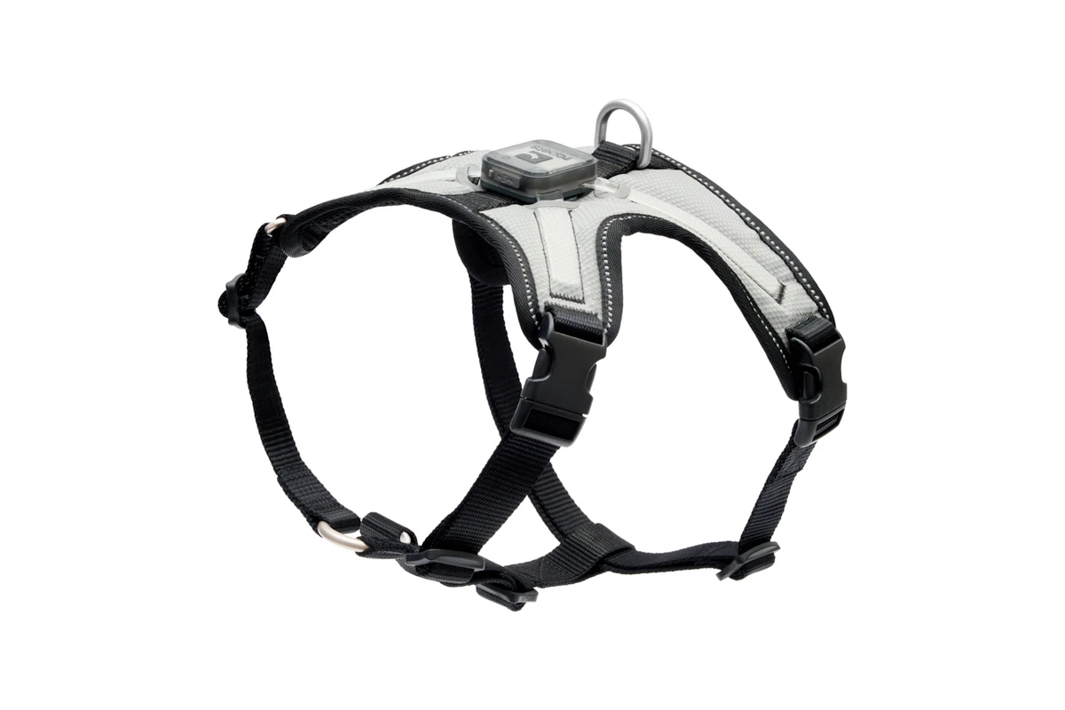 Nova LED Light Harness