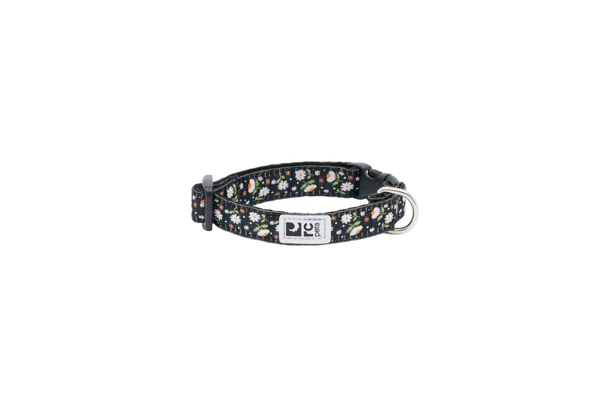 Petite Clip Collar - Daises
