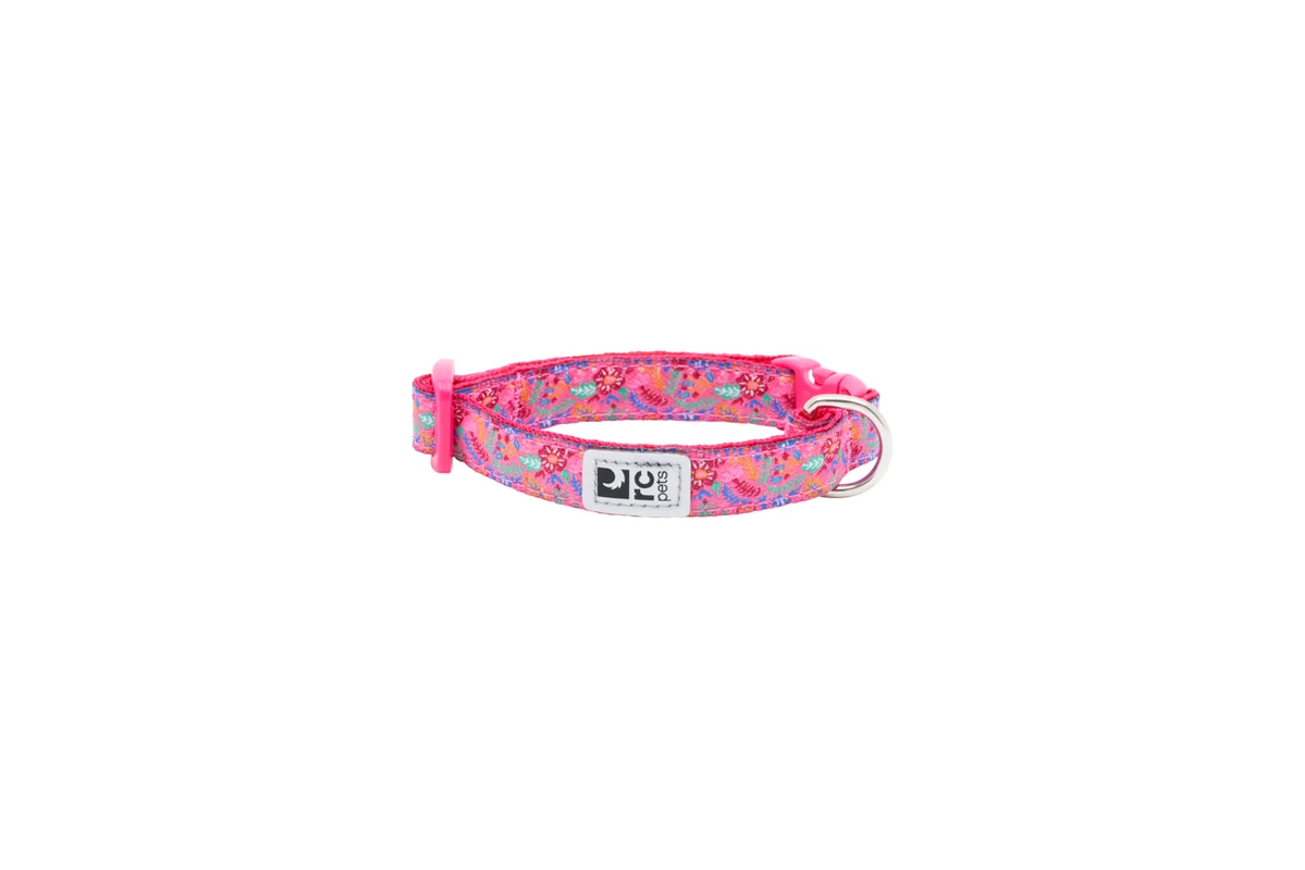 Petite Clip Collar - Frida