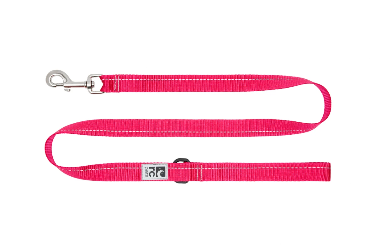 Primary Leash 4' - Azalea