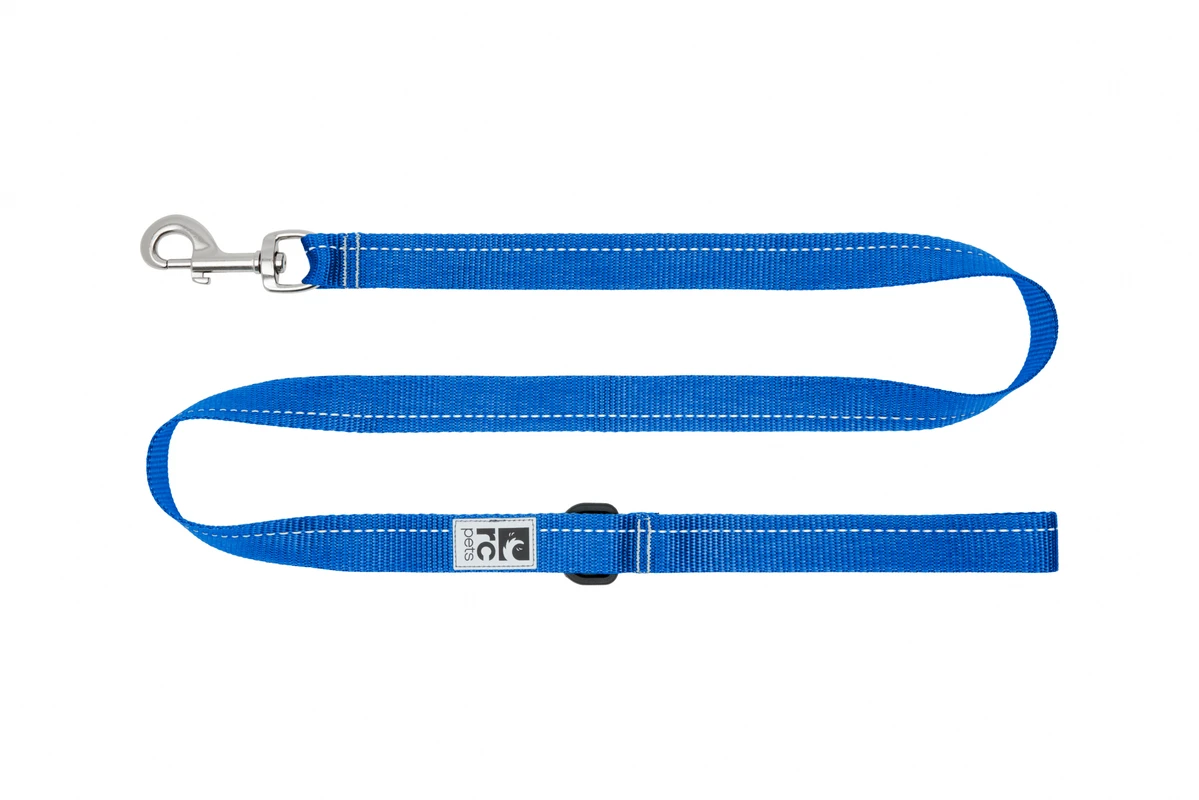 Primary Leash 4' - Sapphire