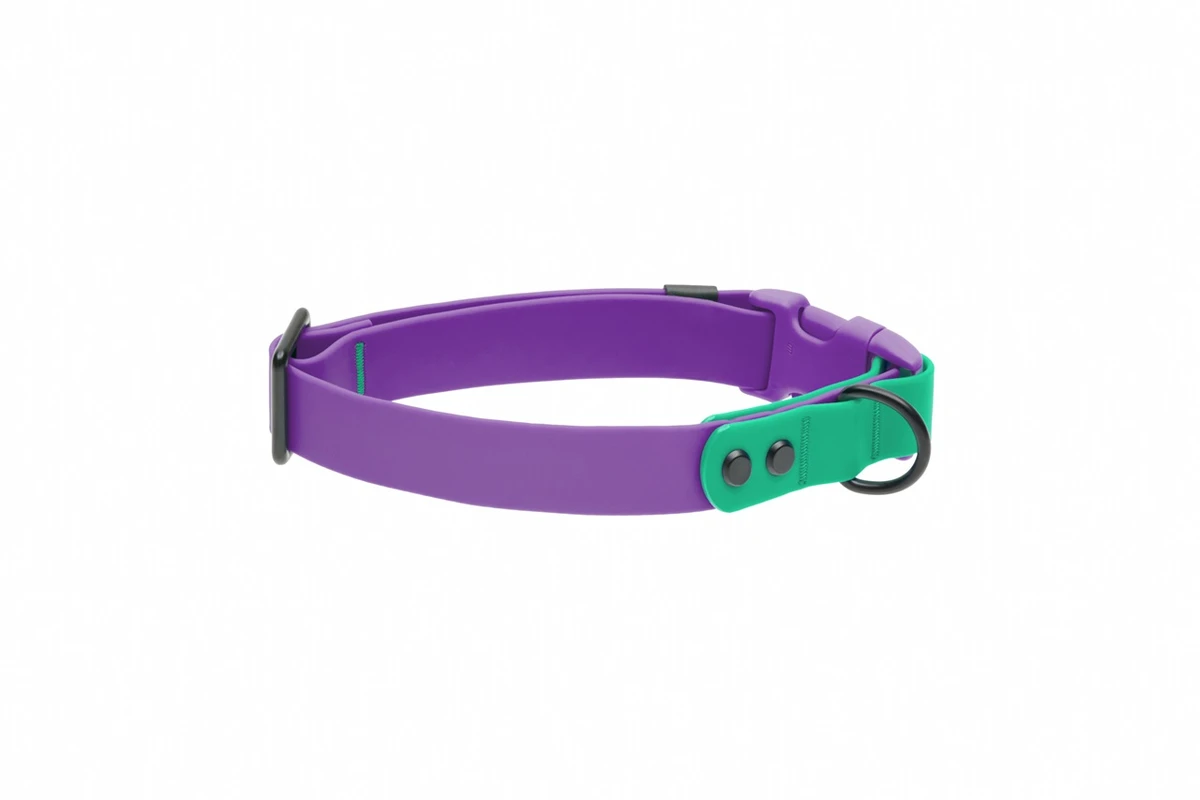 Waterproof Collar - Purple/Parakeet